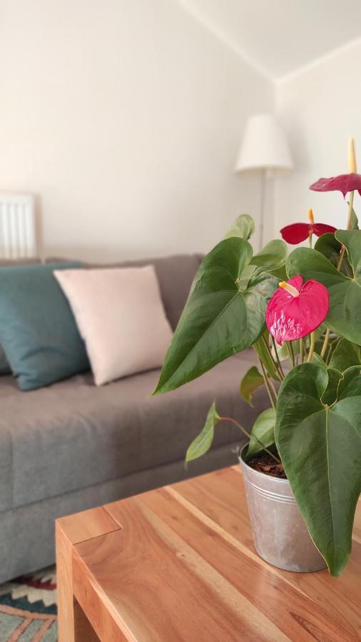 פרצ'ינס Ferienwohnung Eule מראה חיצוני תמונה